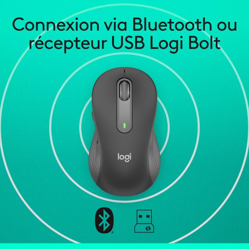 Logitech Souris Signature M650 L *910-006236 · Souris PC · Informat Systems Strasbourg (image 12)