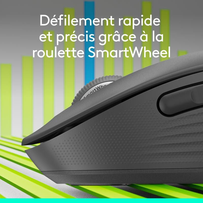 Logitech Souris Signature M650 L *910-006236 · Souris PC · Informat Systems Strasbourg (image 8)