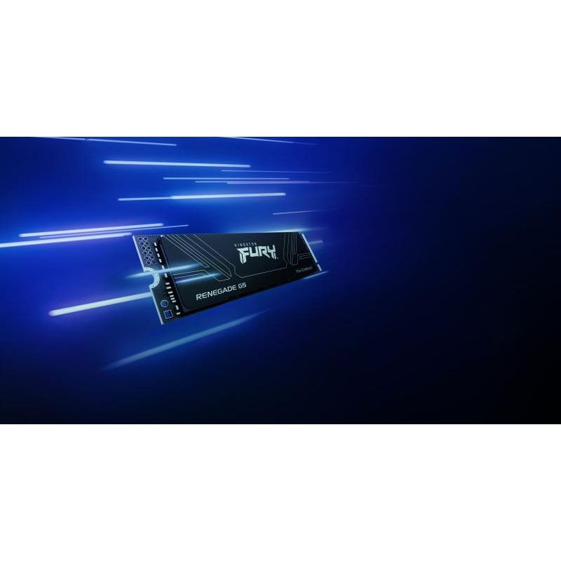 KINGSTON SSD 1024GB FURY Renegade G5 PCIe 5.0 M.2 NVMe · SSD M.2 · Informat Systems Strasbourg (image 10)