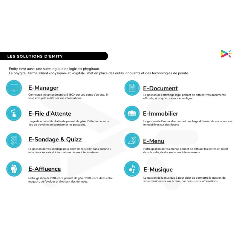 EMITY Abonnement Standard 1 an E-Manager - FORM0001-1Y · Informat Systems Strasbourg (image 3)