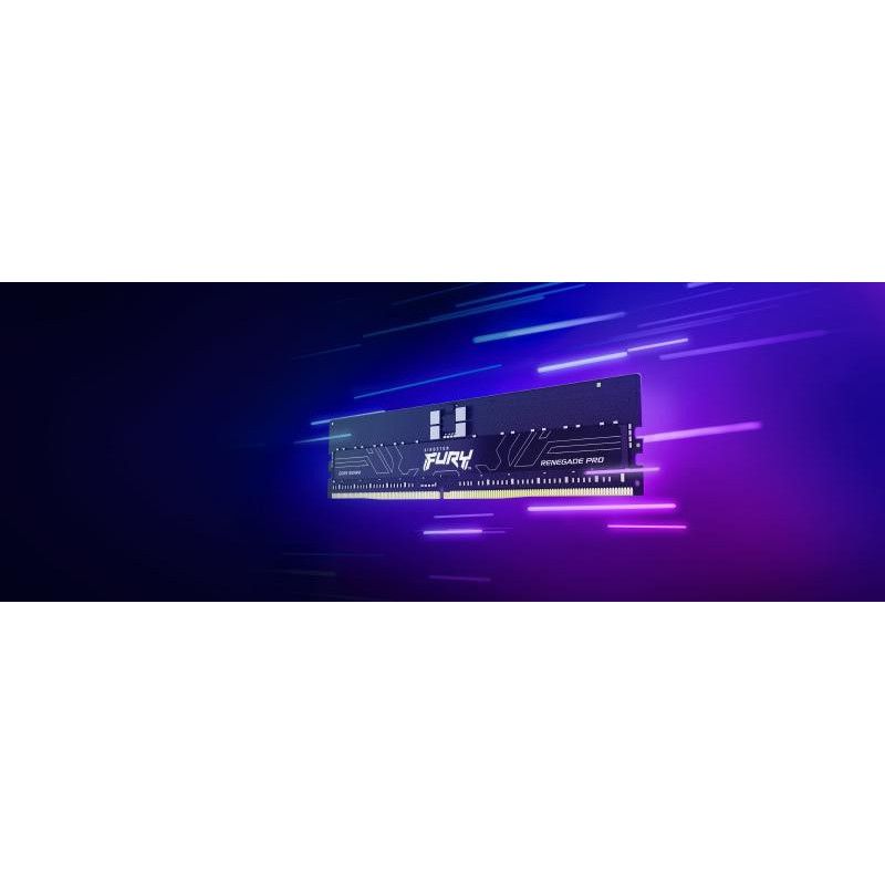 Kingston Technology FURY 256 Go 6400 MT/s DDR5 ECC Reg CL32 DIMM (kit de 8) Renegade Pro EXPO · Mémoires PC · Informat Sys... (image 9)
