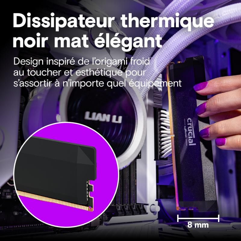 Crucial Pro CP2K32G64C40U5B module de mémoire 64 Go 2 x 32 Go DDR5 288-pin DIMM · Mémoires PC · Informat Systems Strasbourg (image 5)