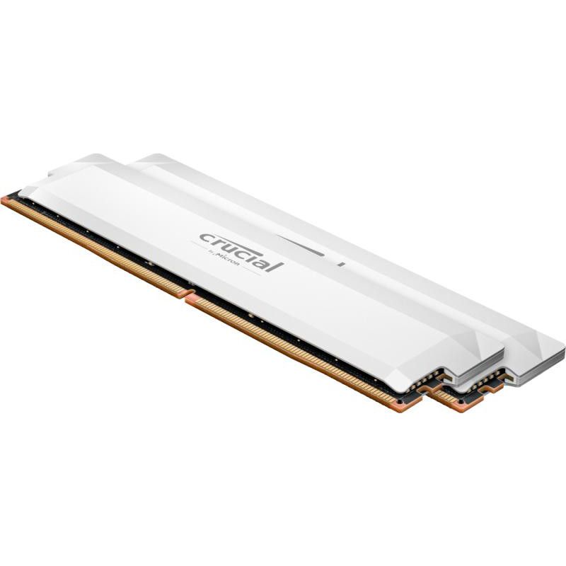 Crucial Pro CP2K32G64C40U5W module de mémoire 64 Go 2 x 32 Go DDR5 288-pin DIMM · Mémoires PC · Informat Systems Strasbourg