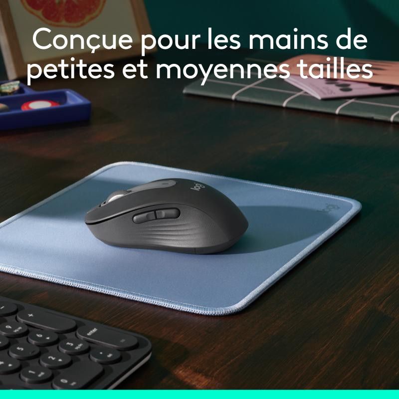 Logitech Souris Signature M650 M *910-006253 · Souris PC · Informat Systems Strasbourg (image 9)