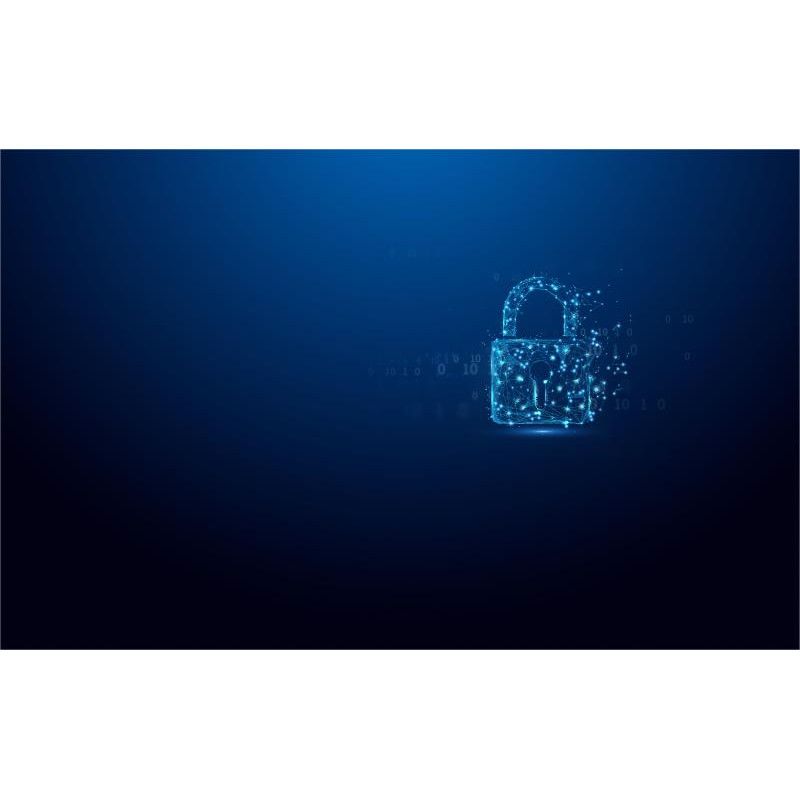 KINGSTON 16GB IronKey Vault Privacy 50 *IKVP50/16GB · Clé USB · Informat Systems Strasbourg (image 5)
